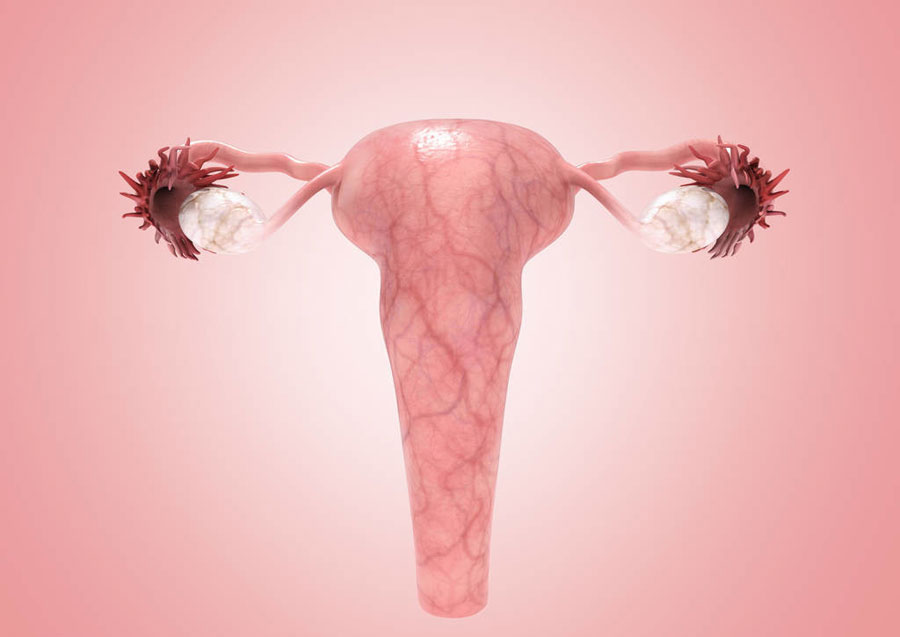 卵巢癌高发很可怕?怎么预防卵巢癌?肿瘤专家:做好4件事,可以免受“侵害”